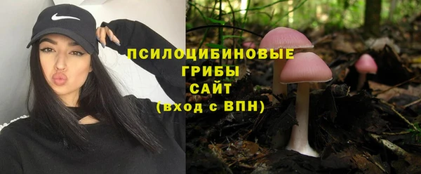a pvp Беломорск