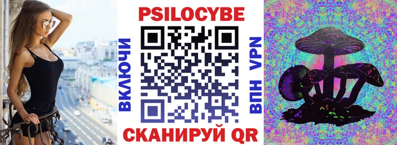 Псилоцибиновые грибы мицелий  цены наркотик  Высоковск 